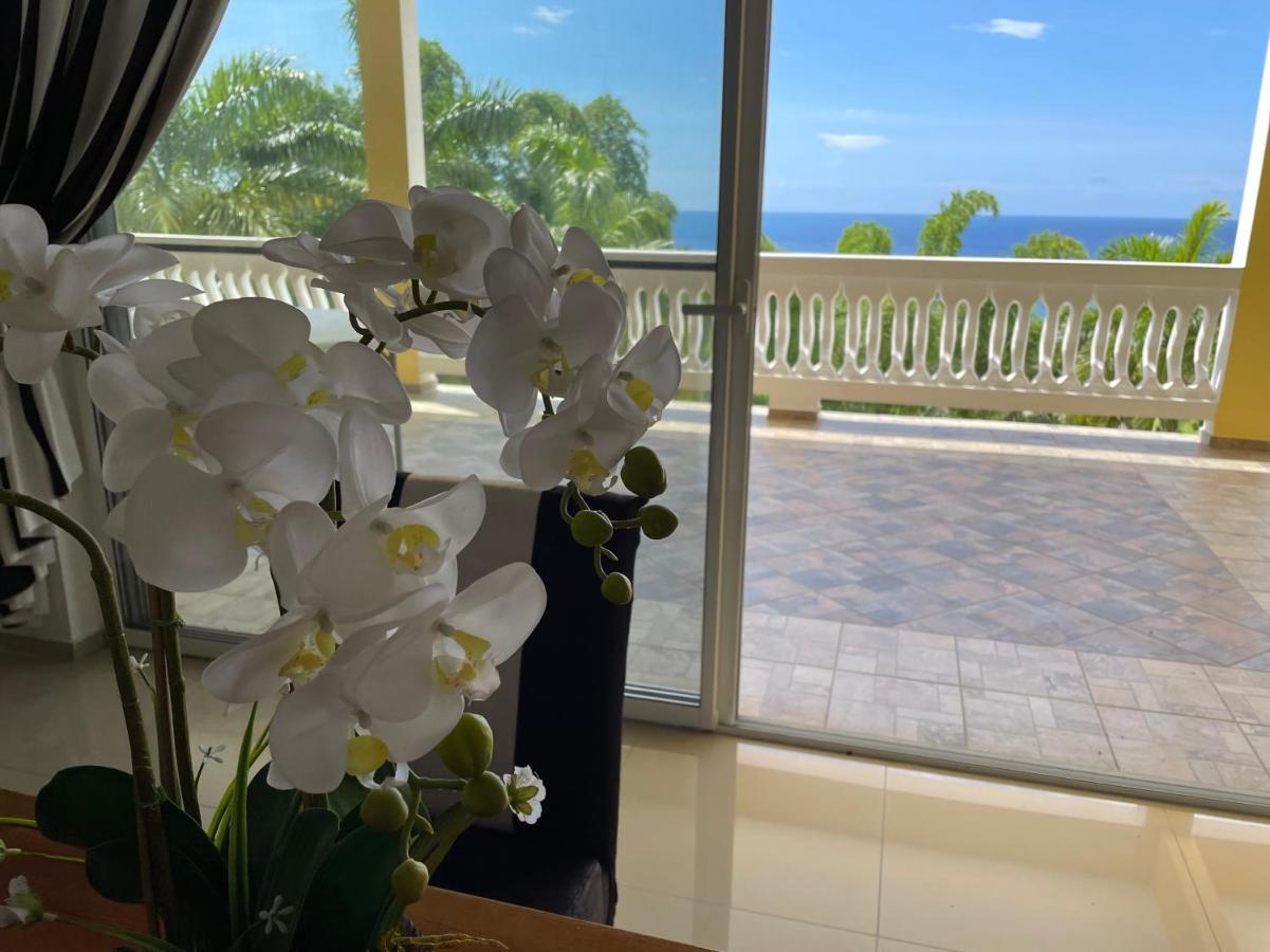 Spring Garden Mobay Resort Luxurious Apartments Montego Bay Exteriör bild